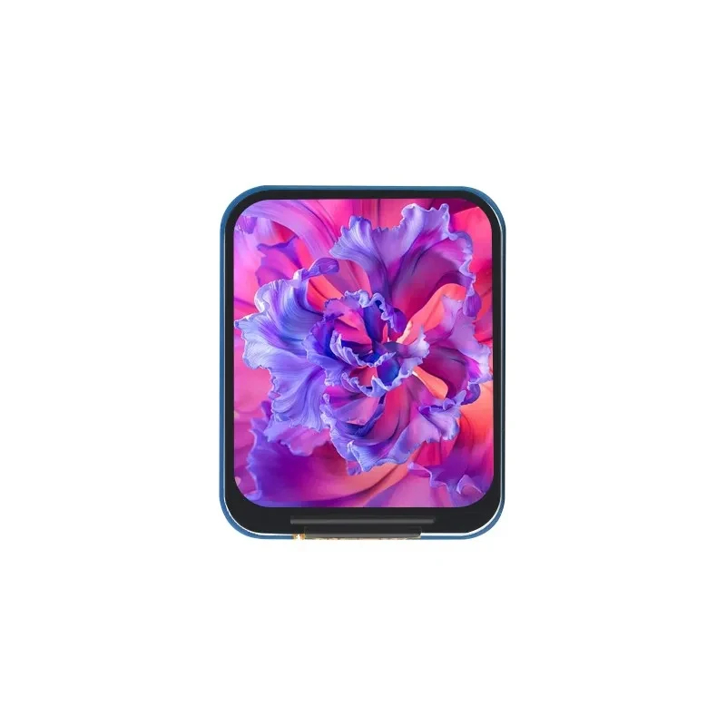 1.69 Inch IPS LCD Module ST778 - Pi Display ulasan dan harga